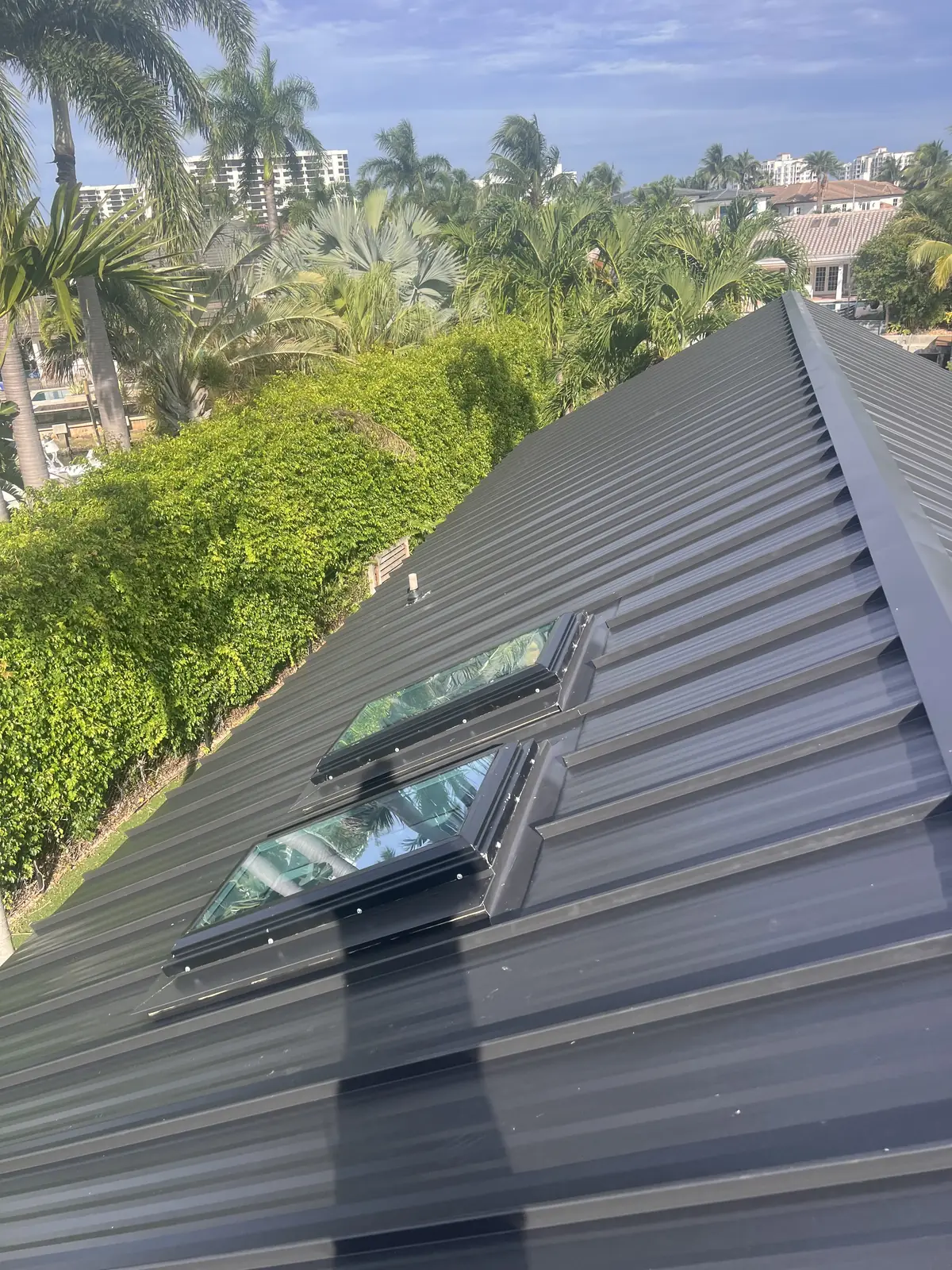 Close view of a dark standing-seam metal roof and skylight flashing details.