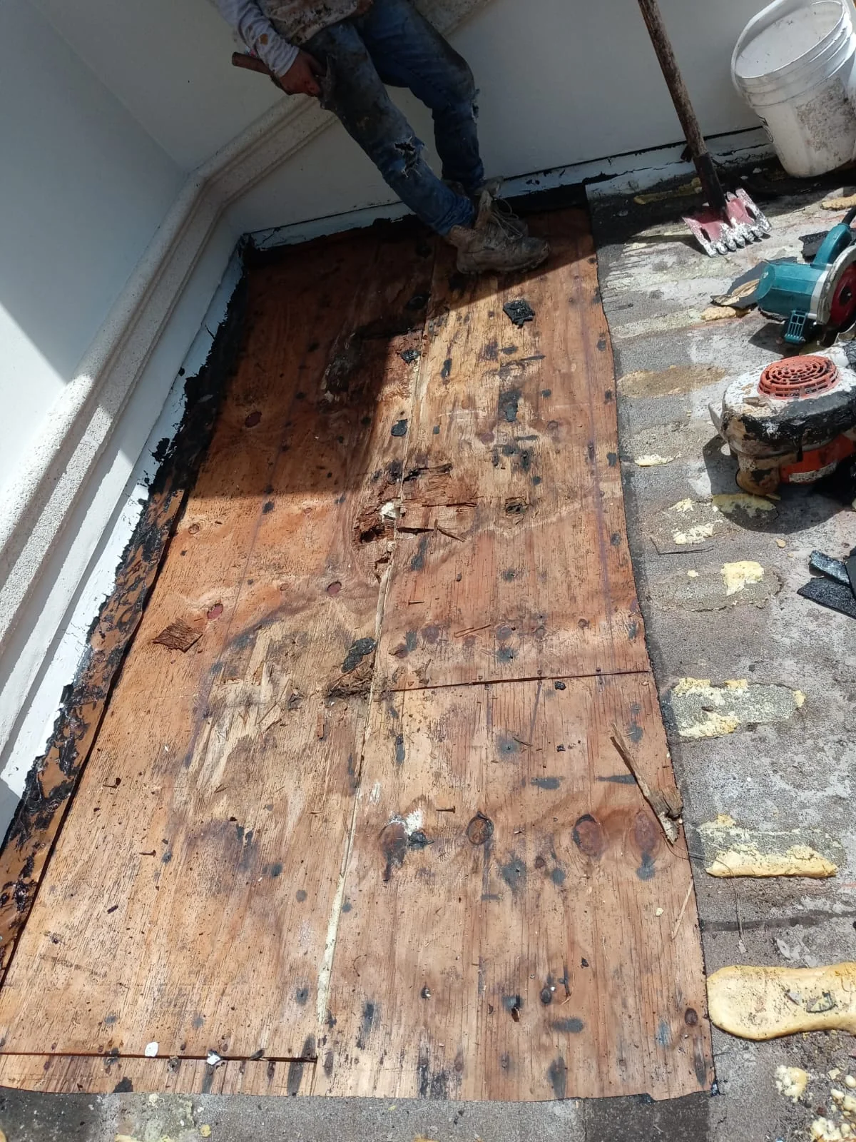 Exposed, deteriorated plywood roof decking beside a wall.