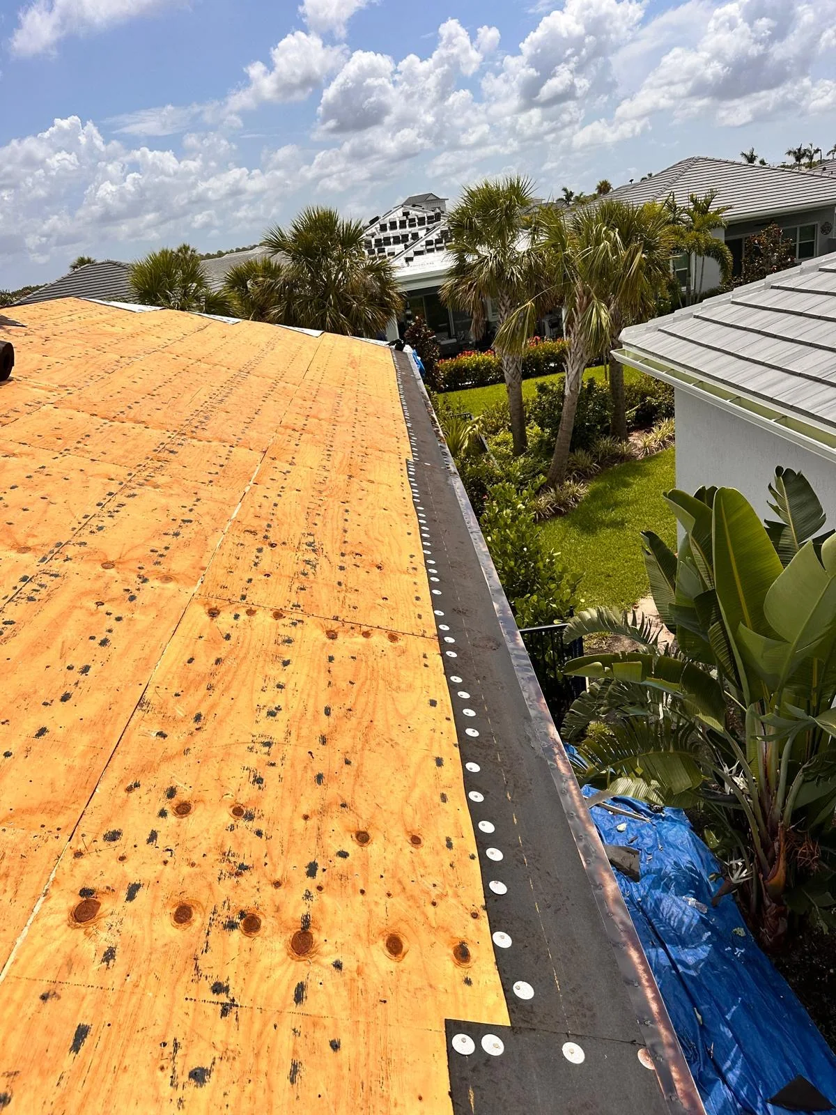 Exposed wood roof deck after tile removal on the West Palm Beach reroof